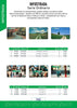 Catalogo AG Schede telefoniche Italia 2024 volume 2