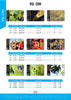 Catalogo AG Schede telefoniche Italia 2024 volume 2